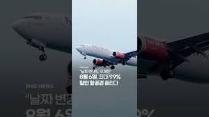 위키트리 - News update