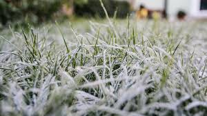 Frost advisory issued for Chicago area as overnight lows plummet again