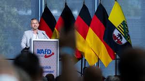 afd sachsen-anhalt