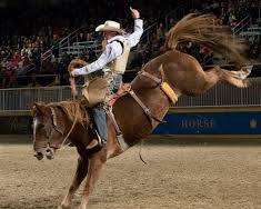 Image of Otsego County Fair Rodeo