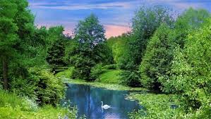 Картинки по запросу Яропольче (Волоколамський повіт біля Москви)