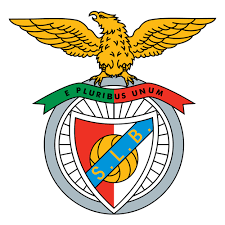 crvena zvezda vs benfica