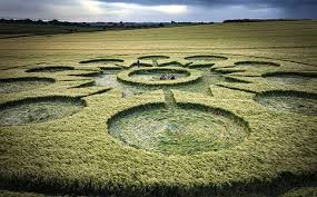 Representation of the Sumerian Solar System Appears in Mysterious Crop Circle