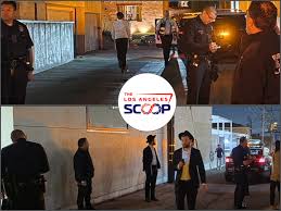 Pico : ce qu'il faut savoir — image 3