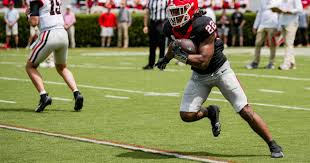 Georgia running back Dante Dowdell injury ‘serious enough’ for multiple hospitals