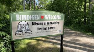 Inside Halton - News update