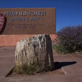 Petrified Forest National Park