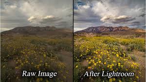 Image result for lightroom professional