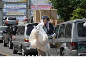 images?q=tbn:ANd9GcThXSnt5Mk1M-4dBMOLjIn