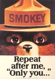Image result for smokey the bear meme