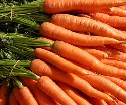 Image result for picture of carrots