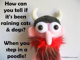Image result for jokes for kids
