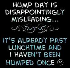 30 Best Hump Day Quotes | Photo Portrays via Relatably.com