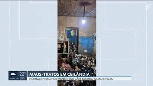 Homem é preso suspeito de manter mais de 100 cães em situação de maus-tratos no DF