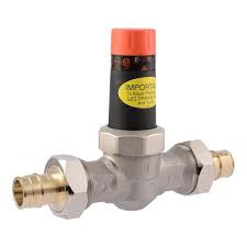 Cash Acme 1 in. EB25 Double Union PEX-A Expansion Stainless ...