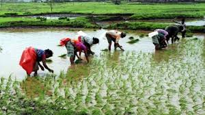 The Indian Express - News update
