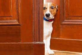 News source: Journal des Femmes