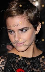 Photo - Harry Potter and the Deathly Hallows Part 1 World Premiere. London, UK. 111110. Emma Watson at the World Premiere of the film Harry Pott. - 6ef11461be04115