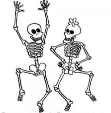 Resultat d'imatges de esquelet humà