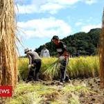 Japan loosen immigration rules blue-collar