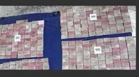 Guyana’s CANU officers seizes 300 kgs of narcotics, worth $44M
