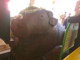 Image result for yaganti