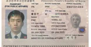 망명 아이콘