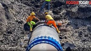 FoggiaToday - cronaca e notizie da Foggia - News update