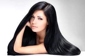 صورة ذات صلة
