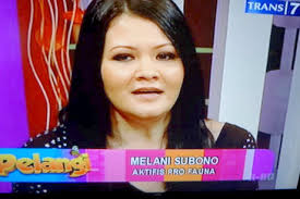 Melanie Subono, a singer who is also a ProFauna activist spoke about monkeys and other wildlife in a national television show called Pelangi (Rainbow) ... - melanie-di-trans7