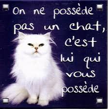 Résultat de recherche d'images pour "jolies pensées en image"