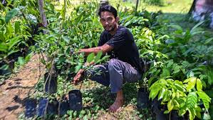 Why are Singaporeans leaving corporate jobs for farming in Johor?