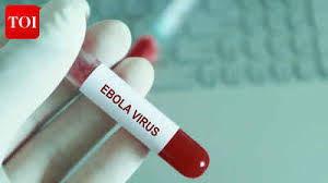 Ebola Virus: Ebola virus found in breast milk weeks after recovery