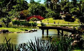 Resultado de imagem para jardins japoneses