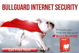 Hasil gambar untuk BULL GUARD SECURITY