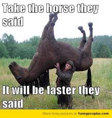 Image result for Animal Meme