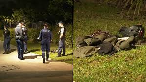 7NEWS - News update
