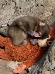 News source: USA Today