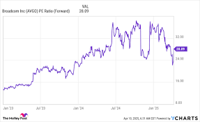 Broadcom (AVGO): A Potential Opportunity After a 30% Dip?