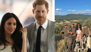 The News International - News update
