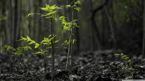 Image result for pictures gallery for amazing places of the world