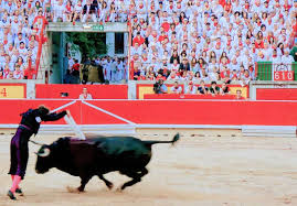 navarra información - News update