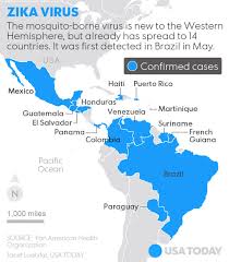 Image result for virus zika