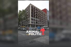 Animal Politico - News update