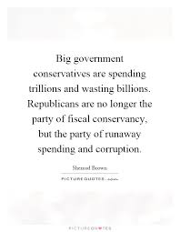 Big government conservatives are spending trillions and wasting... via Relatably.com