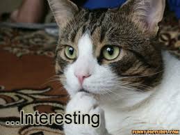 images?q=tbn:ANd9GcTjcLP-zBceluRr-m4wrcecGHvG2IMArpM_epka2sMqNmASqwozZU8C-JpO