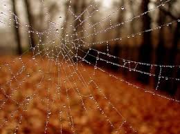 Znalezione obrazy dla zapytania AUTUMN TUMBLR