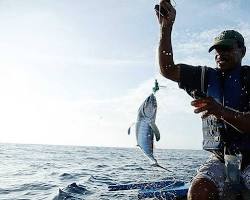 Imagem de Pesca