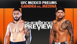 Preview: UFC Mexico Prelims