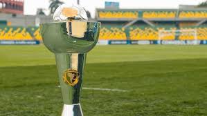 South American U-17 Championship: History of Champions and Runners-Up